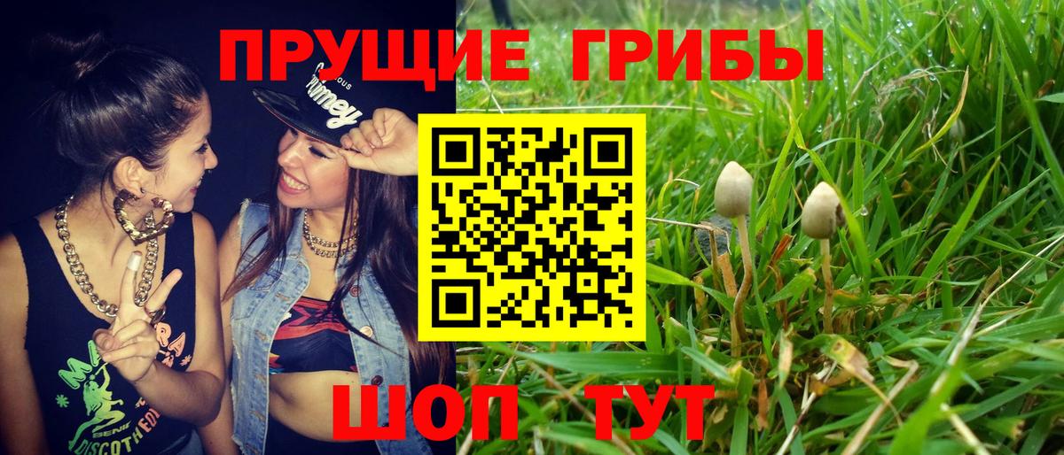 Галлюциногенные грибы GOLDEN TEACHER Елабуга