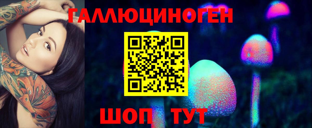 Галлюциногенные грибы мицелий  Вход с VPN  Псилоцибиновые грибы GOLDEN TEACHER  Елабуга 